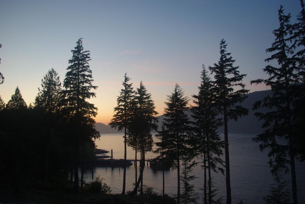 Wild Coast Chalets Port Renfrew Bagian luar foto